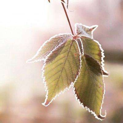 宝威体育官网手机app下载